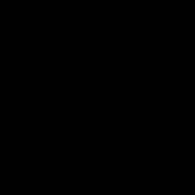 carré noir